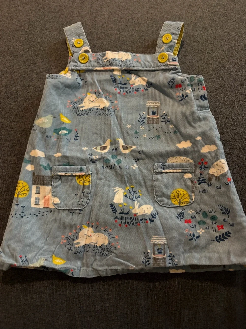Mini Boden Light Blue Corduroy Pinafore Dress with Nature Print